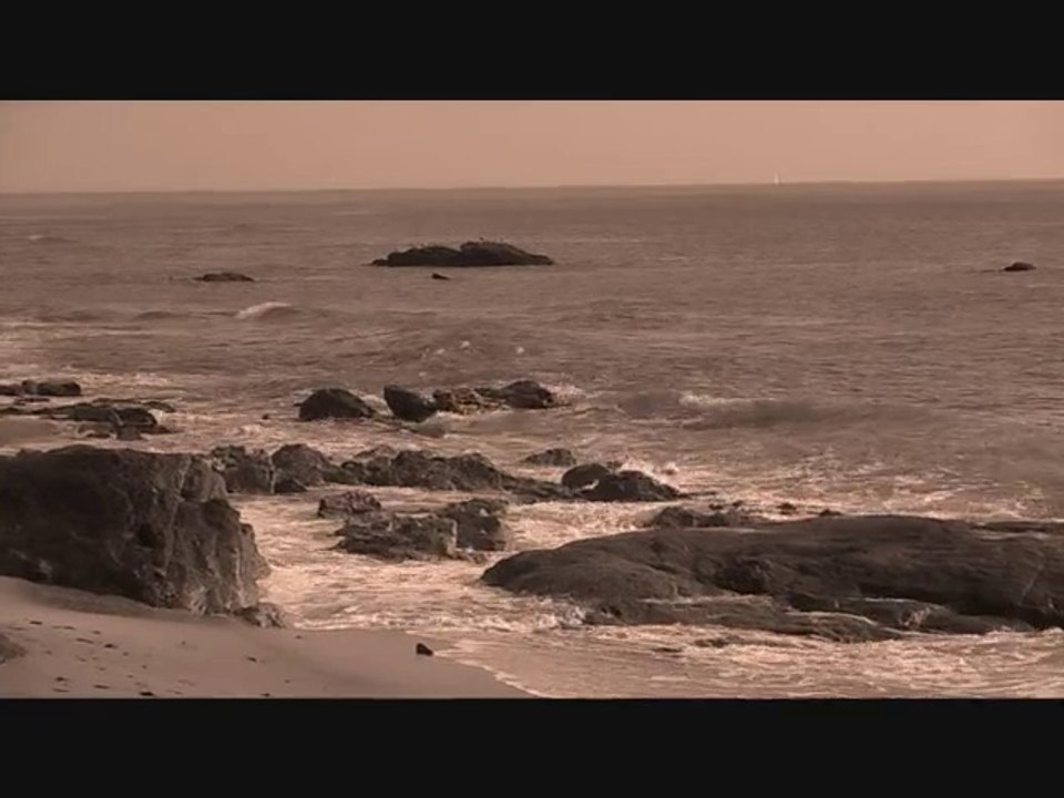 Vacances du côté de Saint Hilaire la Forêt Avrillé Jard sur Mer le Bernard - Vendée