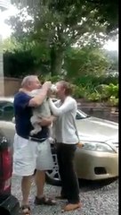 Dog passes out from overwhelming joy