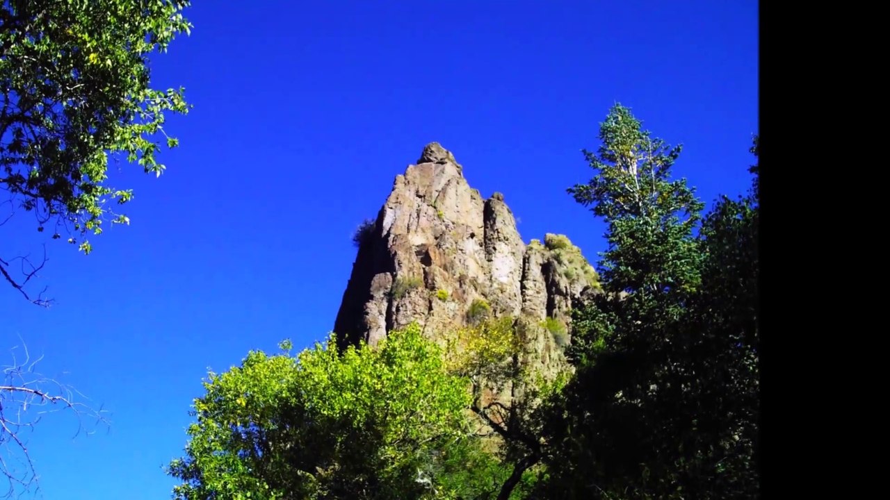 RoseRanchResort