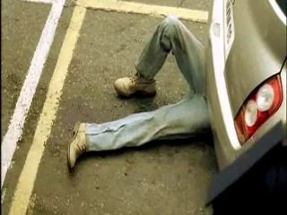 Dodge a Parking Ticket