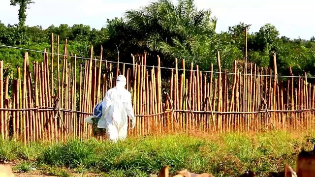 Liberian doctor uses HIV drug on Ebola patients