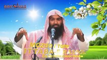 ITTABA E RASOOL (SAW)_Part 2 By Shaikh Qari Shaukat Baloch Hafizullah