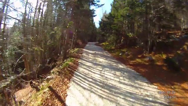 Altopiano di Asiago in moto: Africa Twin 650, XT 600, Babis - Simone