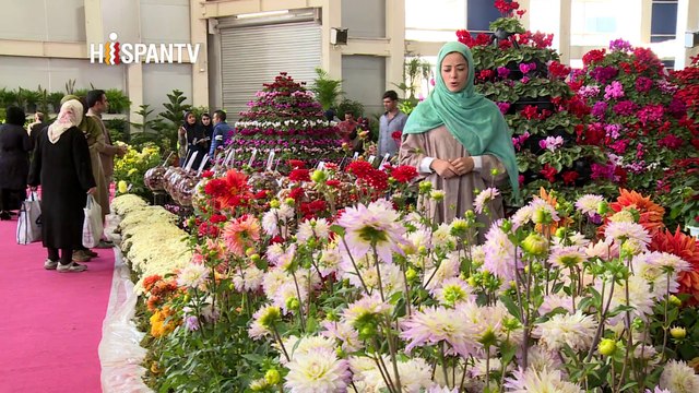 Irán - 1. Casas Históricas en I Kashan 2. La Semana del Bastón Blanco 3. La Aldea de Abás Barzegar en Shiraz 4. La ciudad de Qazvin