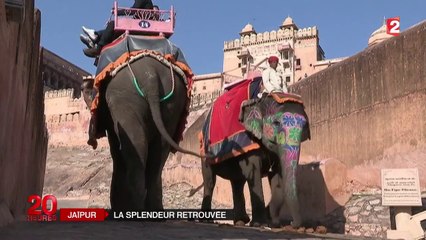 Rajasthan : les habitants volent au secours des palais de Jaipur