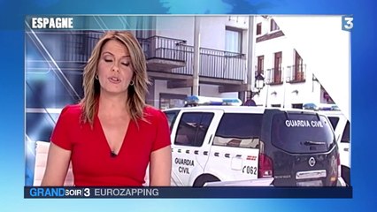 VIDÉO. L'Eurozapping du lundi 27 octobre 2014