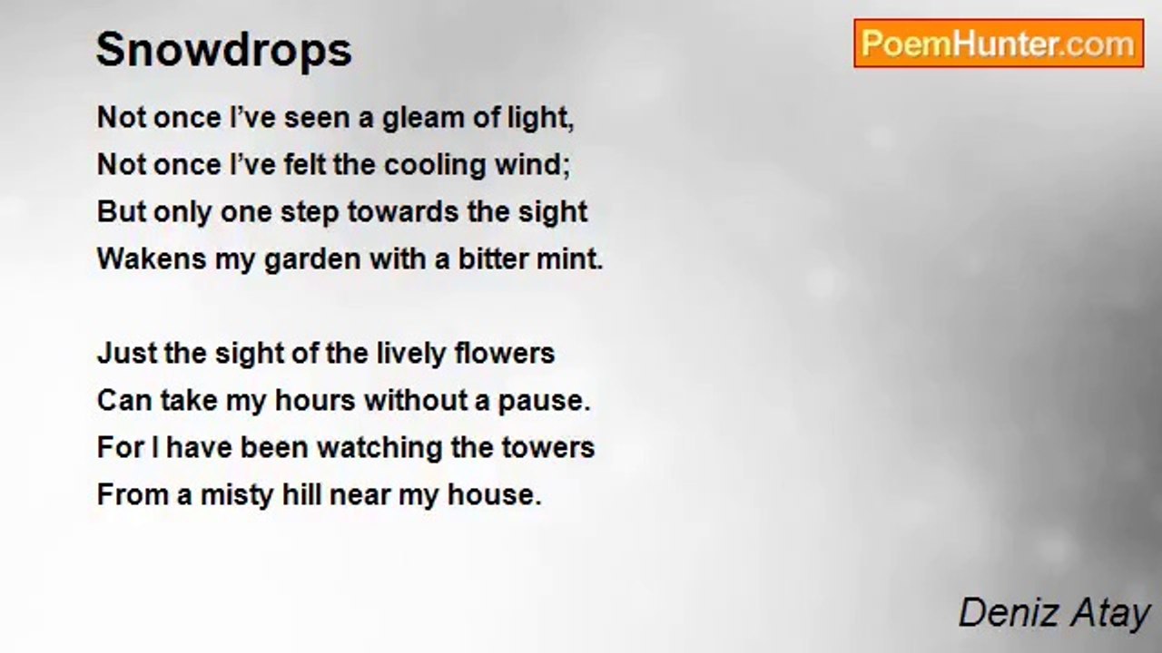 Deniz Atay - Snowdrops
