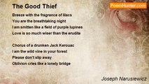 Joseph Narusiewicz - The Good Thief