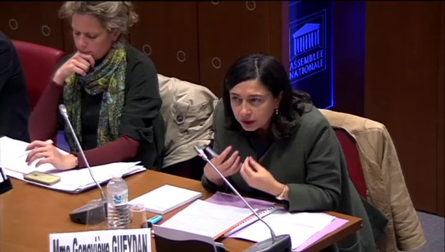Mme Geneviève Gueydan, dir. de la CNSA - Lundi 27 Octobre 2014