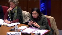 Mme Geneviève Gueydan, dir. de la CNSA - Lundi 27 Octobre 2014
