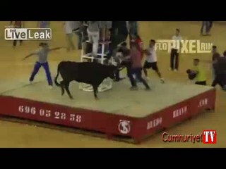 Boğanın intikamı çok acı oldu