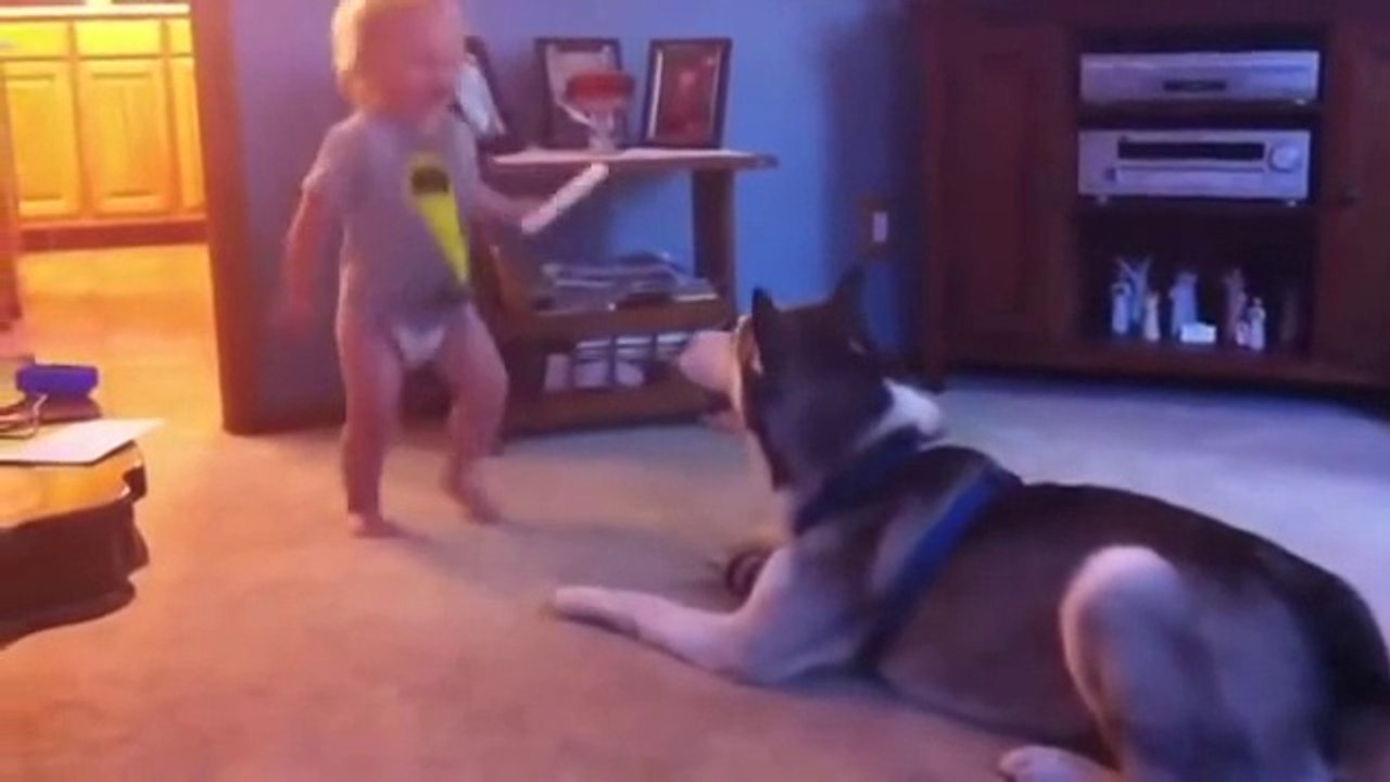 [+18 ~ Sexy Funny Girl]Funny Videos - Fail Compilation, Funny Pranks and Funny Cats Videos _ New Funny Video(20)