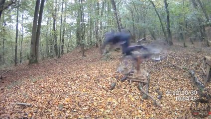 [+18 ~ Sexy Funny Girl]Bike Downill Broken Shoulder - Fails World