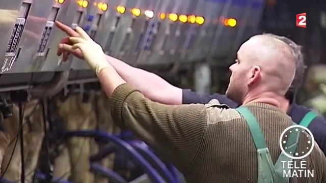 Ferme des 1 000 vaches : neuf militants jugés à Amiens