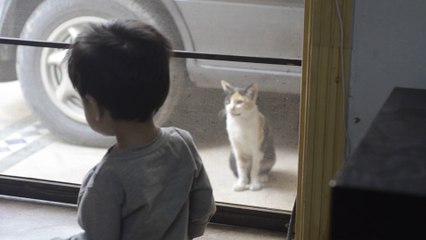 Funny --- Baby & Cat Interesting Conversation