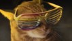 Meow Mix : un clip de chats pour les chats