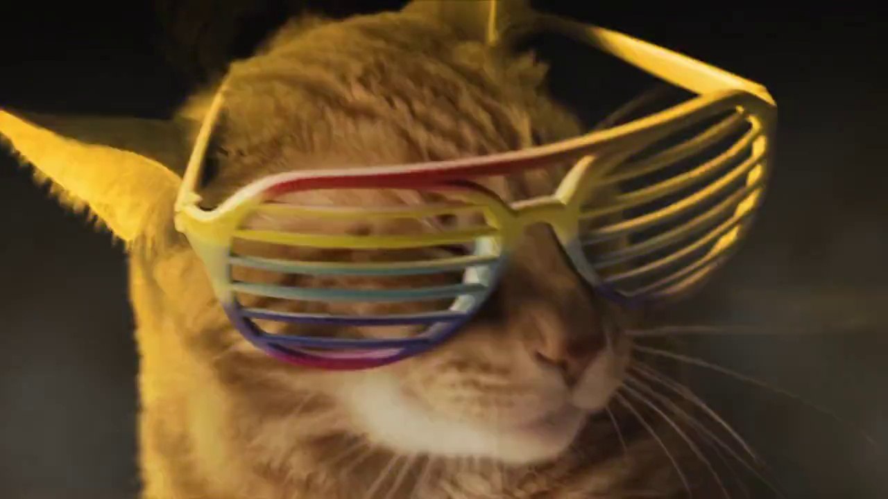 Meow Mix : un clip de chats pour les chats