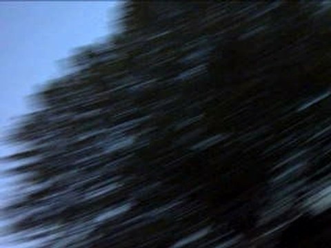 dub incorporation neotl1024