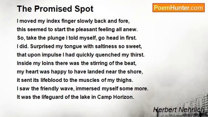 Herbert Nehrlich - The Promised Spot