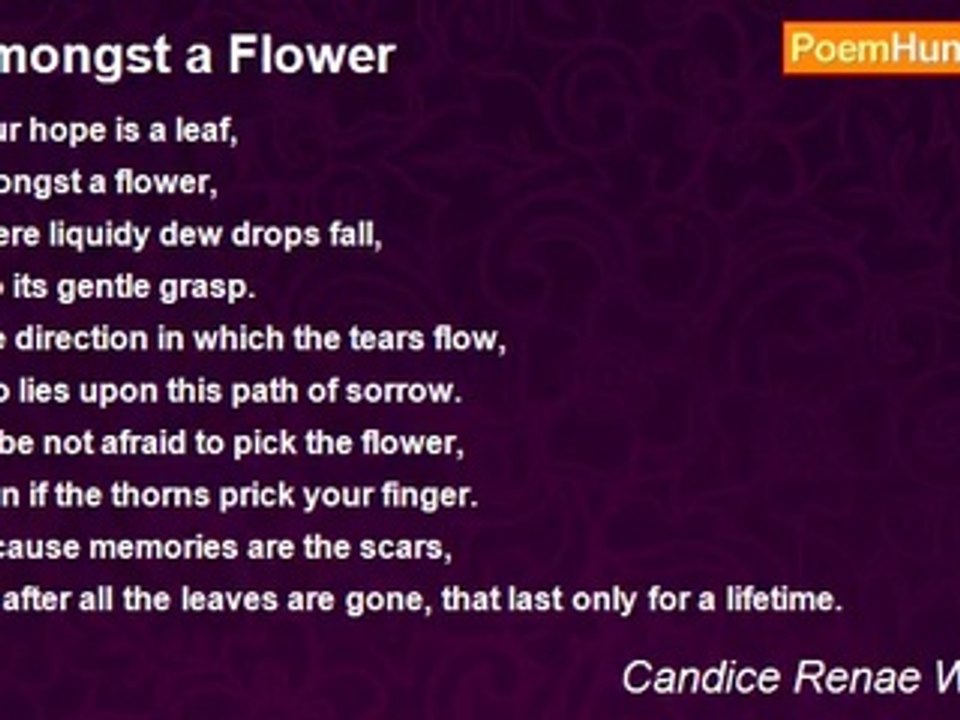 Candice Renae Williams - Amongst a Flower
