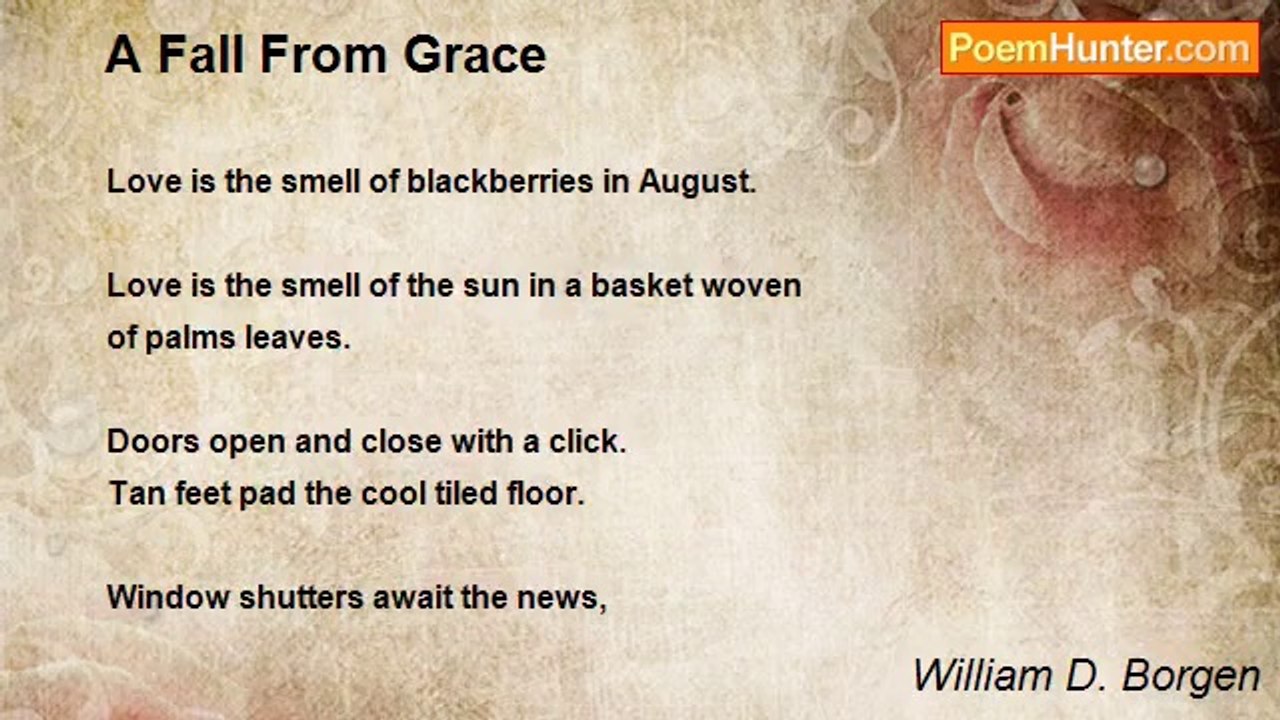 William D. Borgen - A Fall From Grace