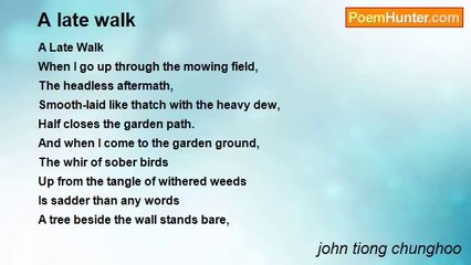 john tiong chunghoo - A late walk