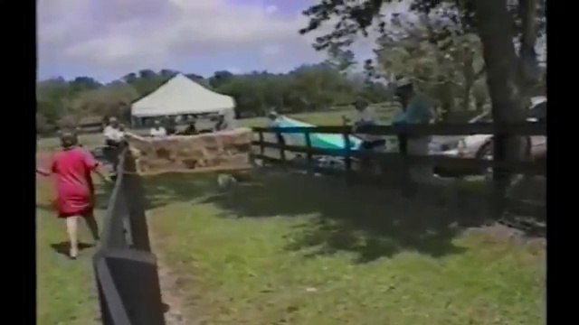 [+18 ~ Sexy Funny Girl]Racing Tumbling Dogs