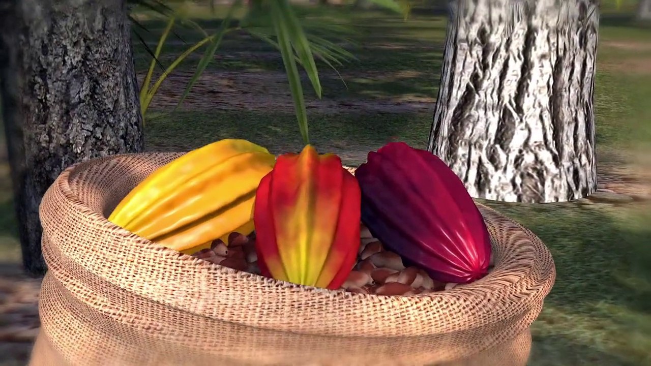 Chocolate