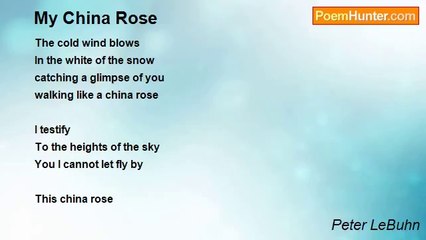 Peter LeBuhn - My China Rose