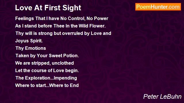 Peter LeBuhn - Love At First Sight
