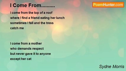 Sydne Morris - I Come From..........