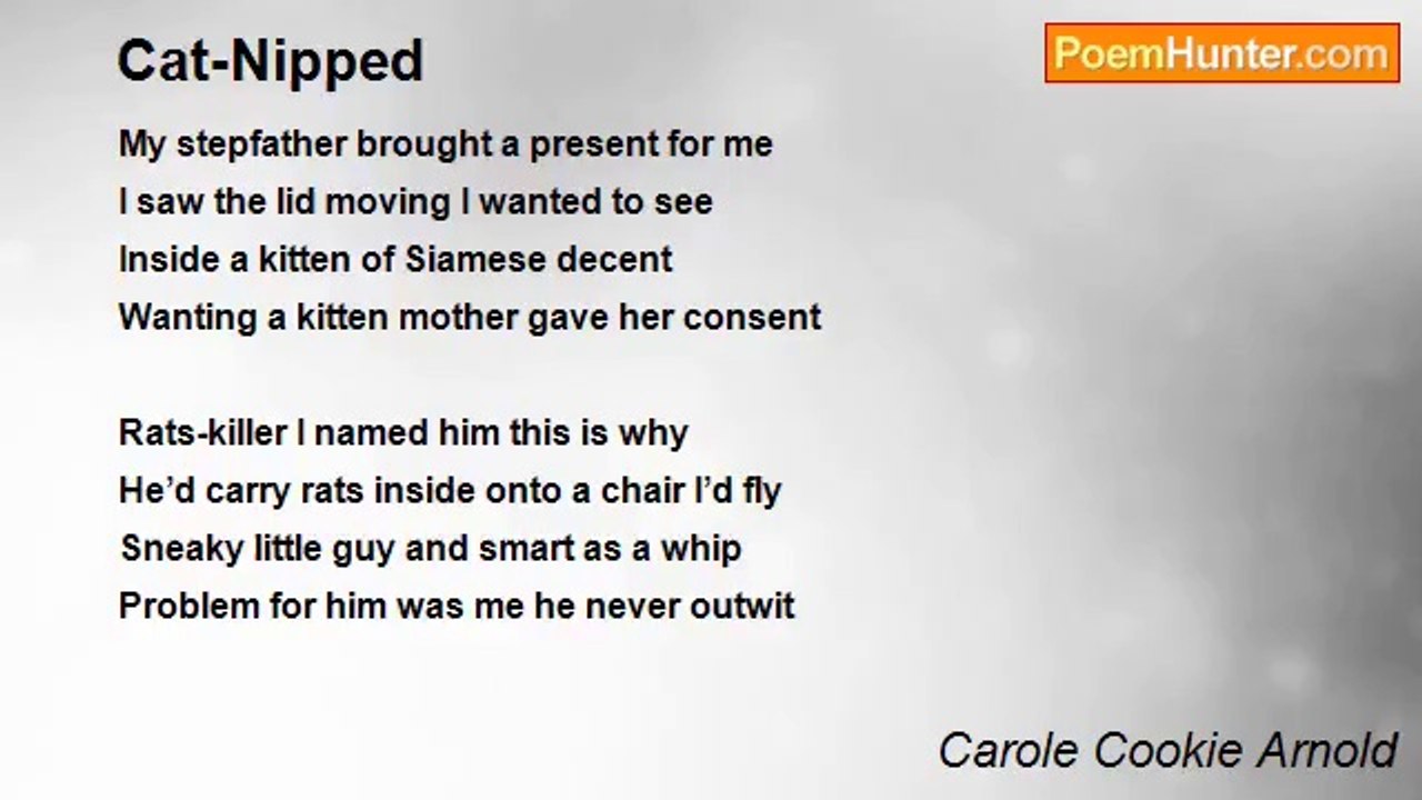 Carole Cookie Arnold - Cat-Nipped