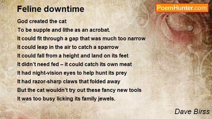 Dave Birss - Feline downtime