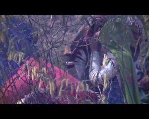 Abb Takk - Thar POP 27-10-2014