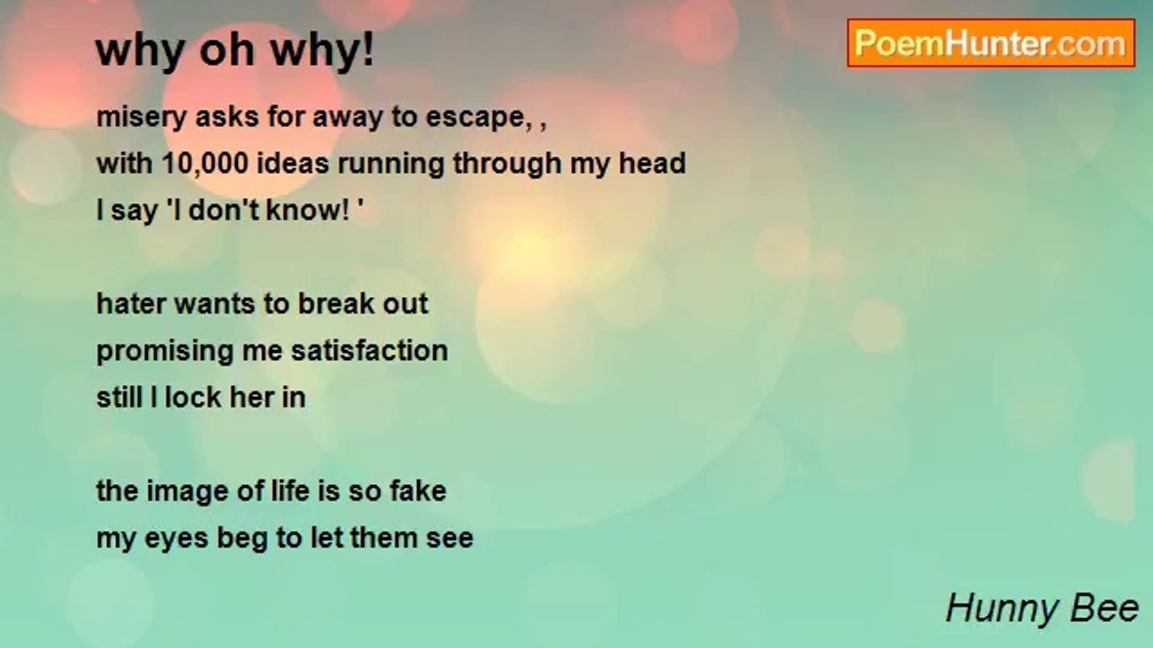 Hunny Bee - why oh why!
