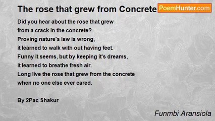 Funmbi Aransiola - The rose that grew from Concrete