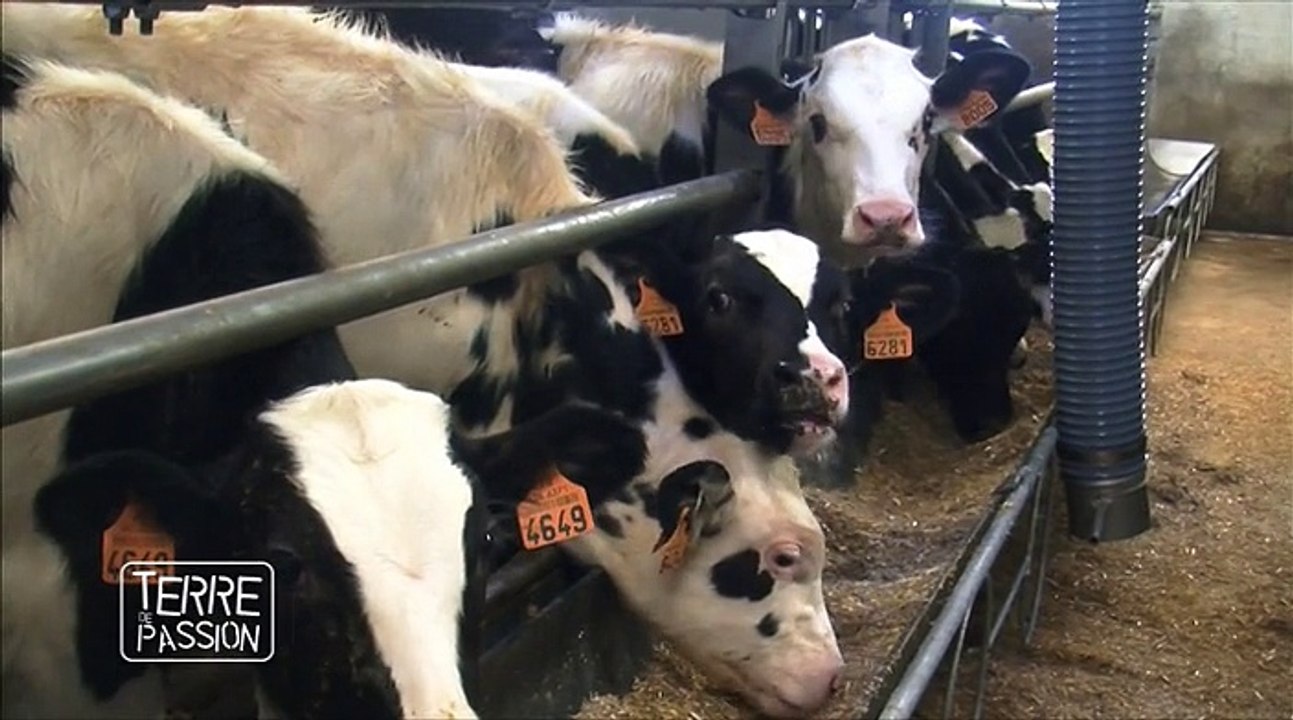 Terre de passion - Saison 2 - Episode 3 : Comment investir ?