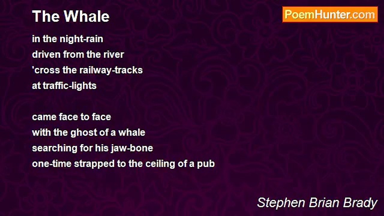 Stephen Brian Brady - The Whale