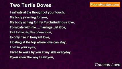 Crimson Love - Two Turtle Doves