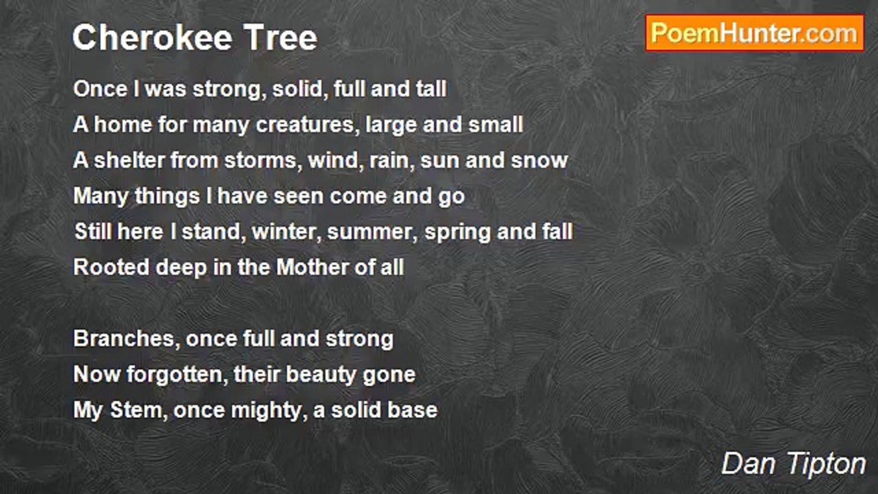 Dan Tipton - Cherokee Tree