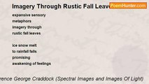 Terence George Craddock (Spectral Images and Images Of Light) - Imagery Through Rustic Fall Leaves