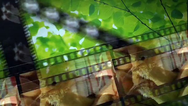 Jean-Francois Macaire sur le plateau de Mainate TV