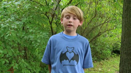 Batman v Superman Dawn of Justice VIRAL VIDEO - Help Save The Bats (2016) - Movie