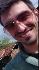 how to train the cat-you must train your cat