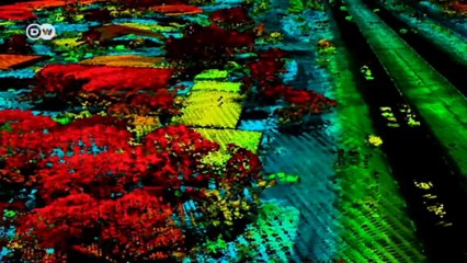 República Democrática del Congo: medir la naturaleza | Global 3000