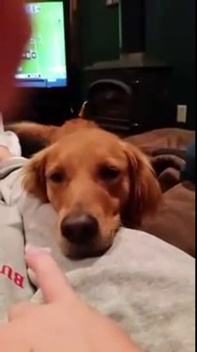 Weird dog singing!