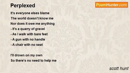 scott hunt - Perplexed