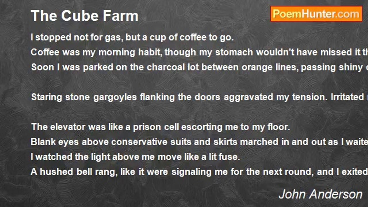 John Anderson - The Cube Farm