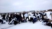 80 hooligans fighting in russia! So violent soccer fans...