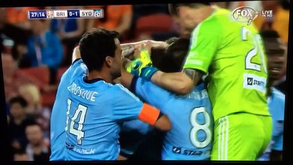 Marc Janko'dan inanımaz gol.. Tam 50 Metreden Voleyle Çaktı..